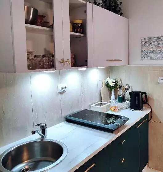 پانسیون Apartments & Rooms Saša