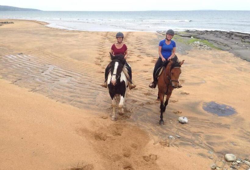Pensão Ceol Na Dtonnta