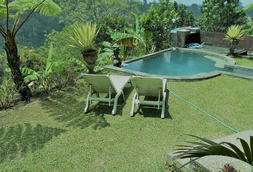 بنسيون Shangrilah Villas