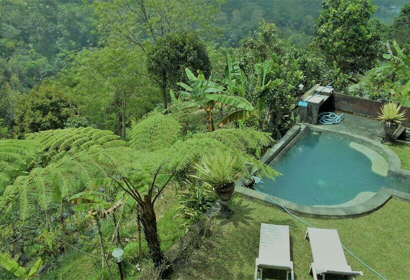 بنسيون Shangrilah Villas