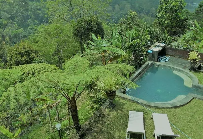 ペンション Shangrilah Villas