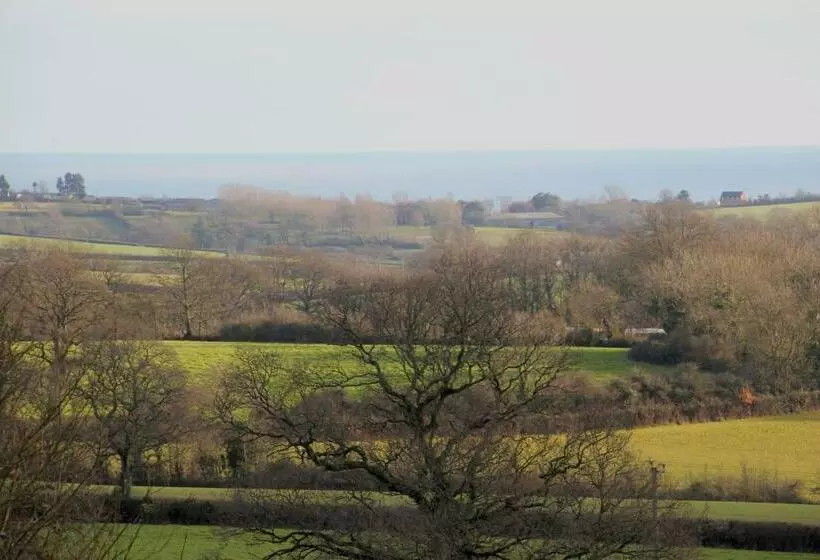 Seven Acre Corner B&b