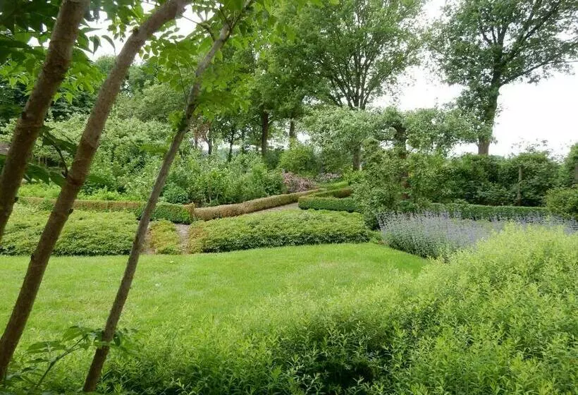 B&b  T Hekkert