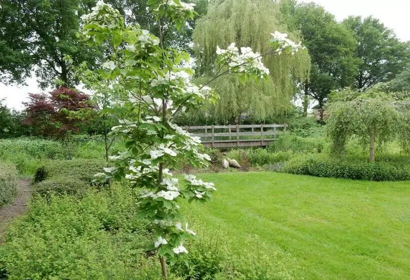 B&b  T Hekkert