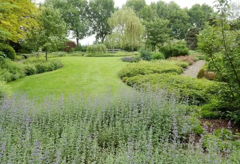 B&b  T Hekkert