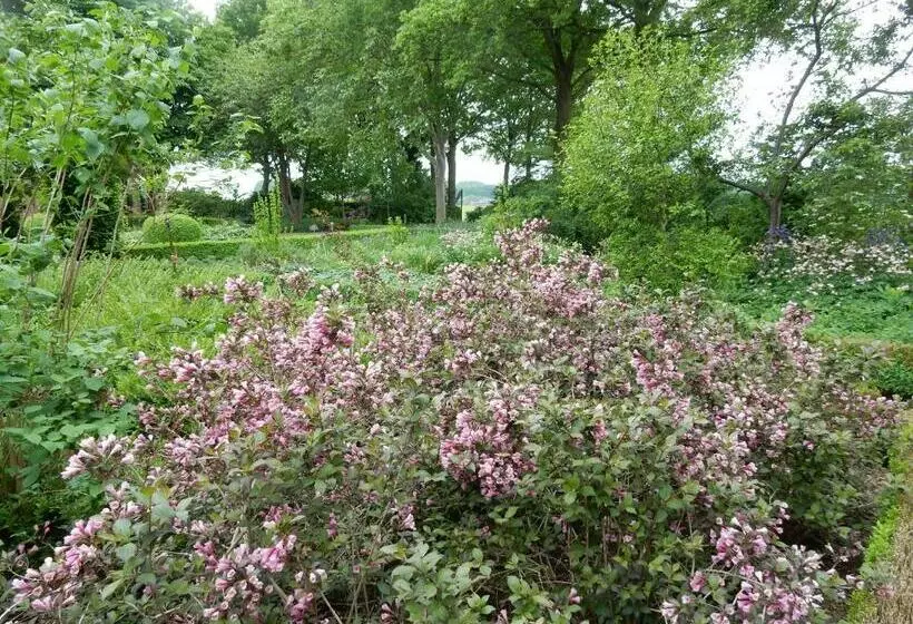 B&b  T Hekkert
