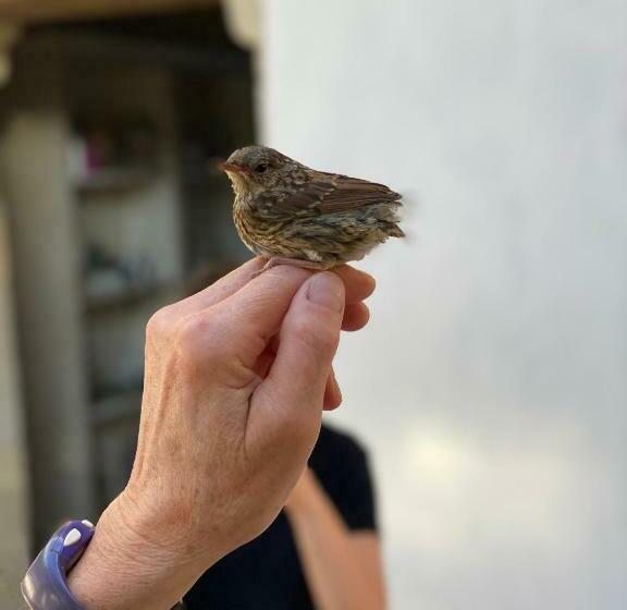 צימר La Chambre Des Dames