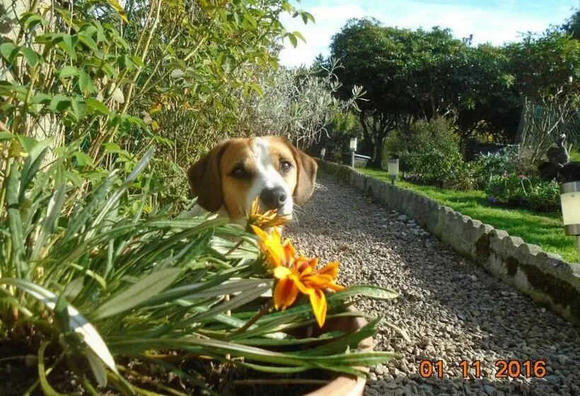 Aamiaismajoitus (B&B) La Mare Aux Fées