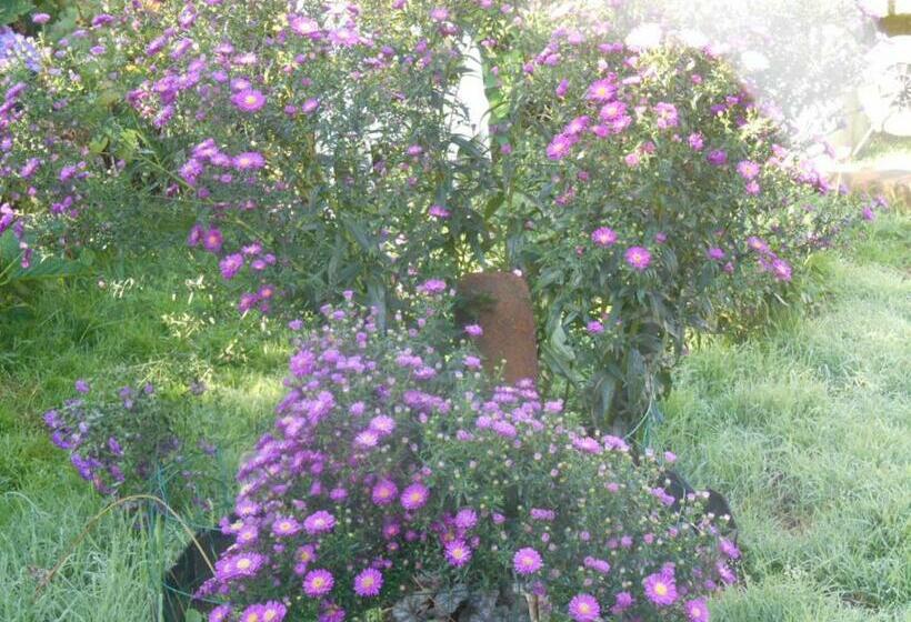 مبيت وإفطار La Mare Aux Fées