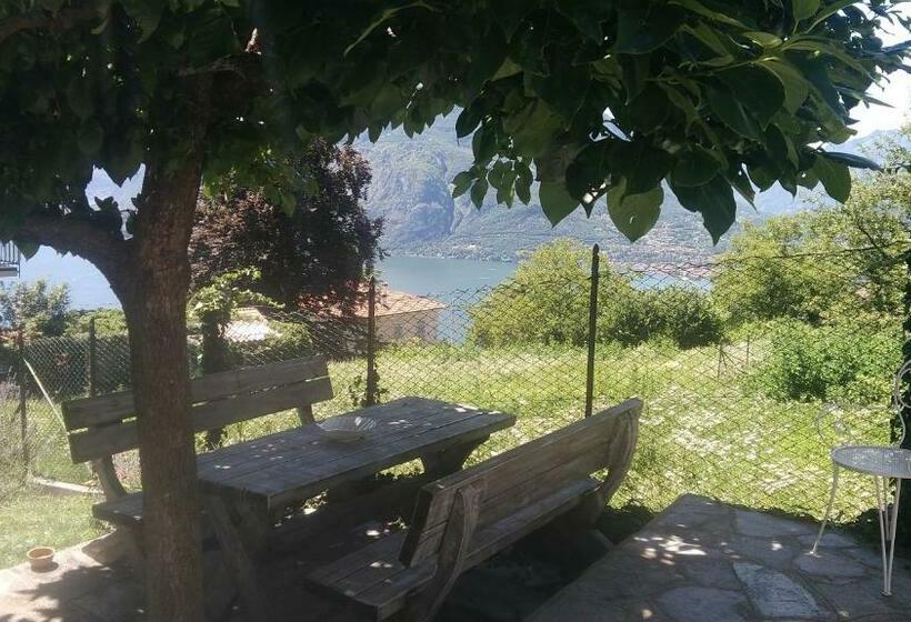 Bed And Breakfast Papillon