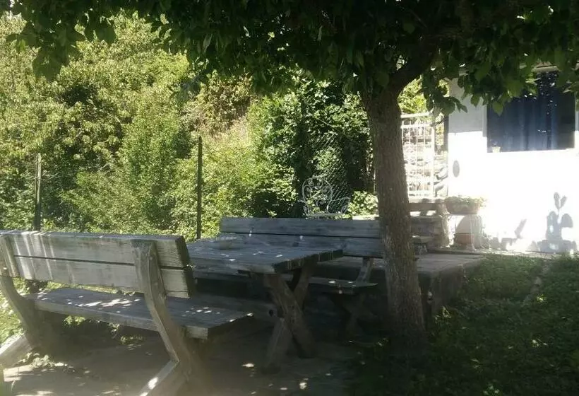 Bed And Breakfast Papillon