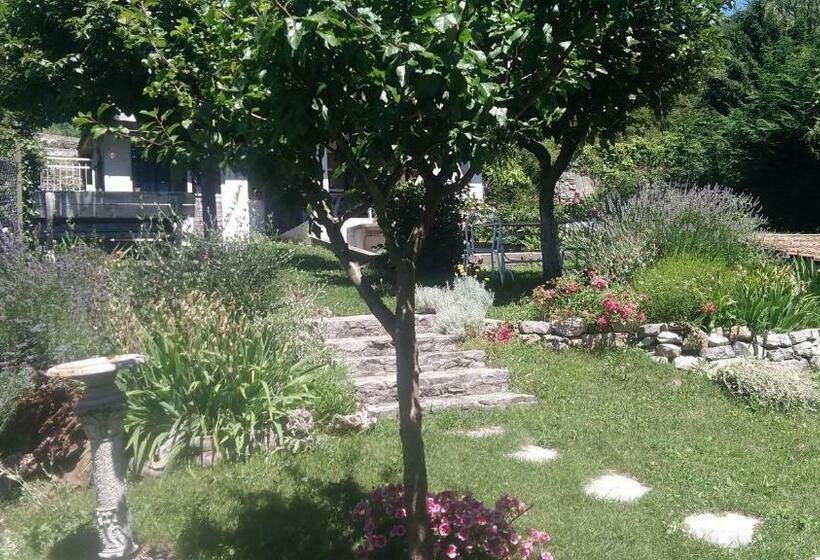 Bed And Breakfast Papillon