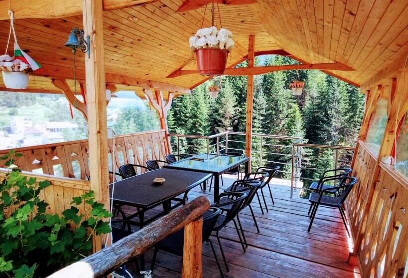 بنسيون Guest House Milka