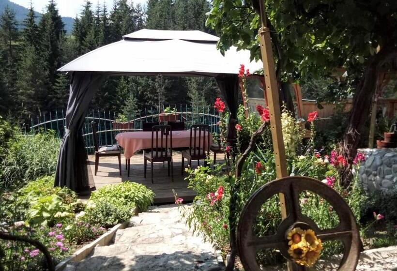 بنسيون Guest House Milka