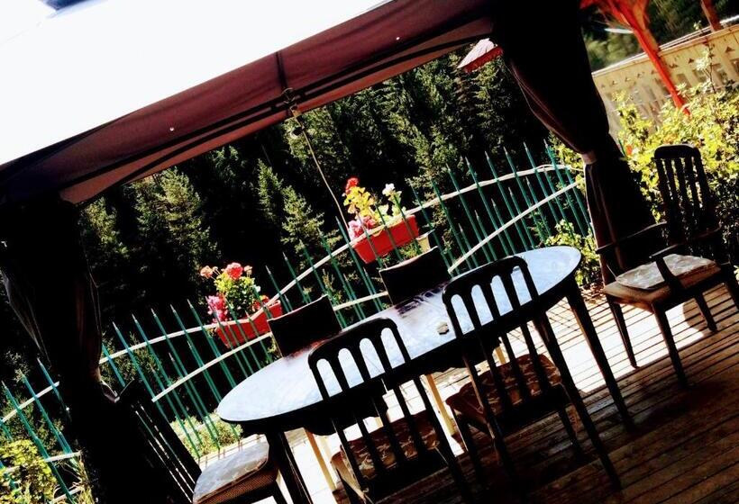 بنسيون Guest House Milka