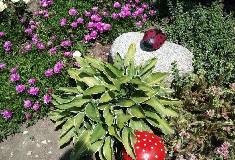 بنسيون Guest House Milka