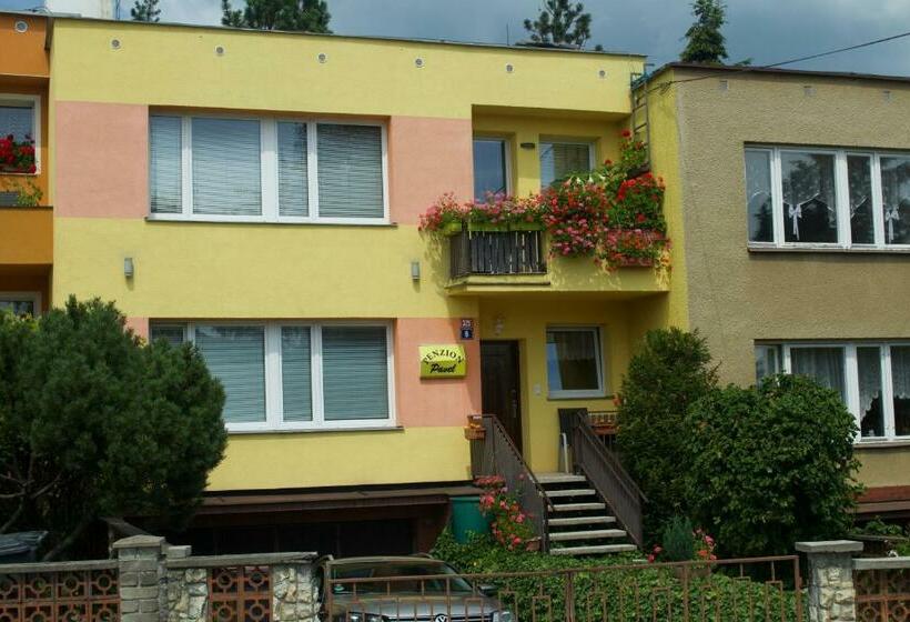 پانسیون Penzion Pavel