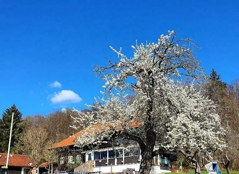 Schatzbergalm Pension