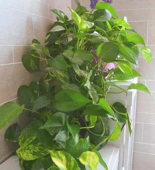 B&b La Casa D Artista