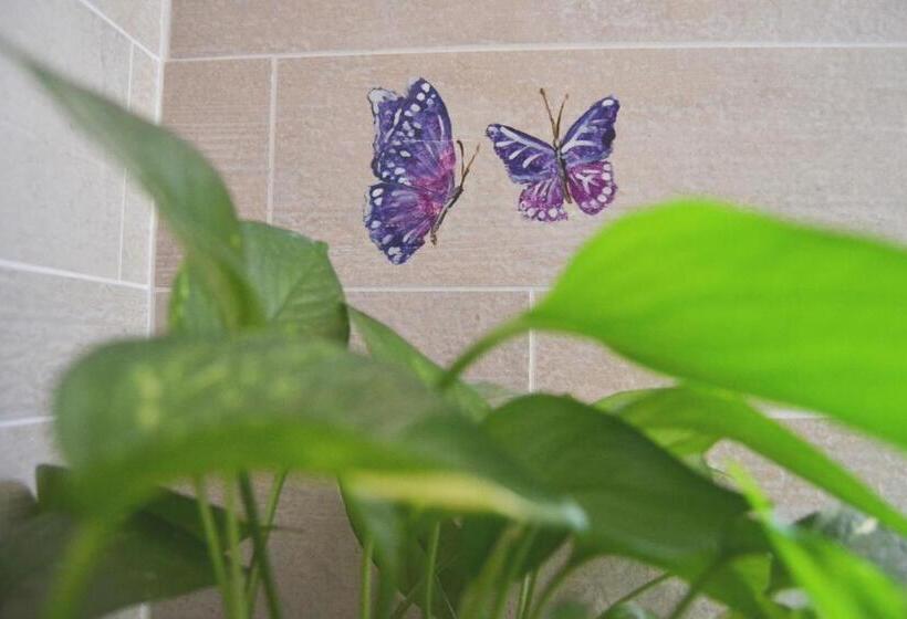 B&b La Casa D Artista