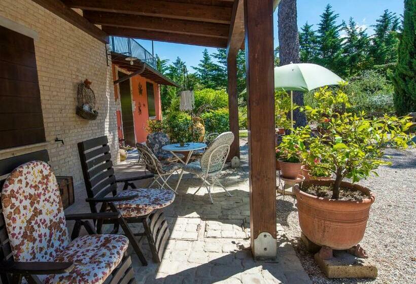 تختخواب و صبحانه Li Dolci Colli