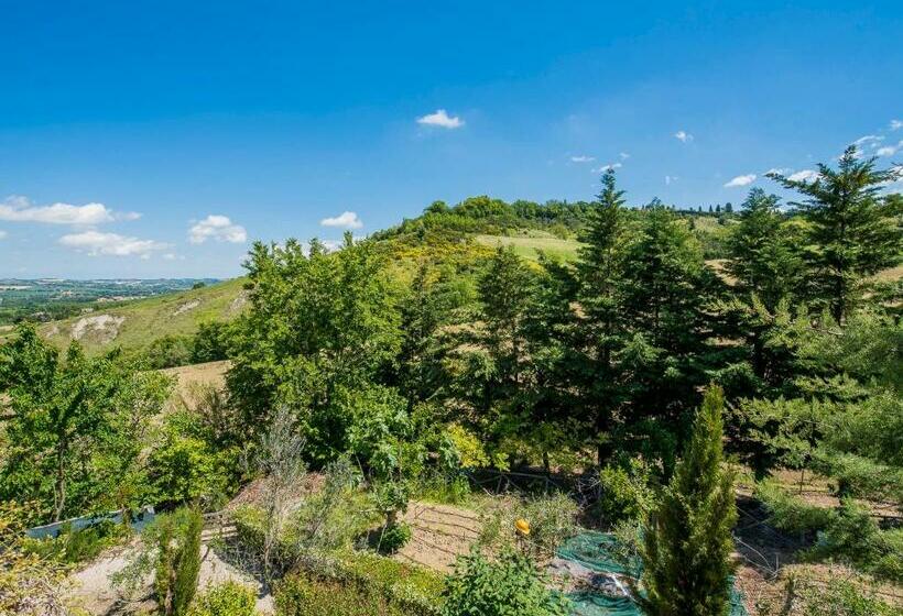 تختخواب و صبحانه Li Dolci Colli