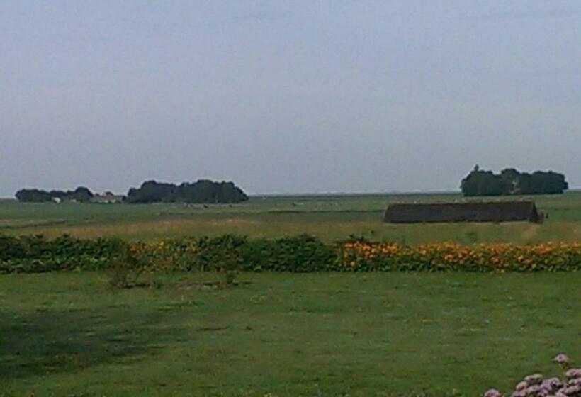 Bed and Breakfast ûnderdak