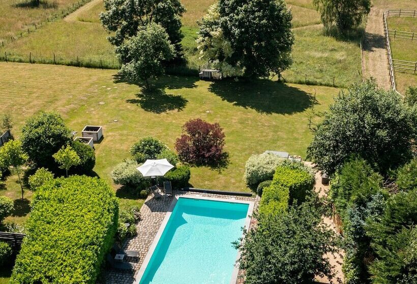 Bed and Breakfast Paddock Lodge   Suites Wellness & Chambres D Hôtes