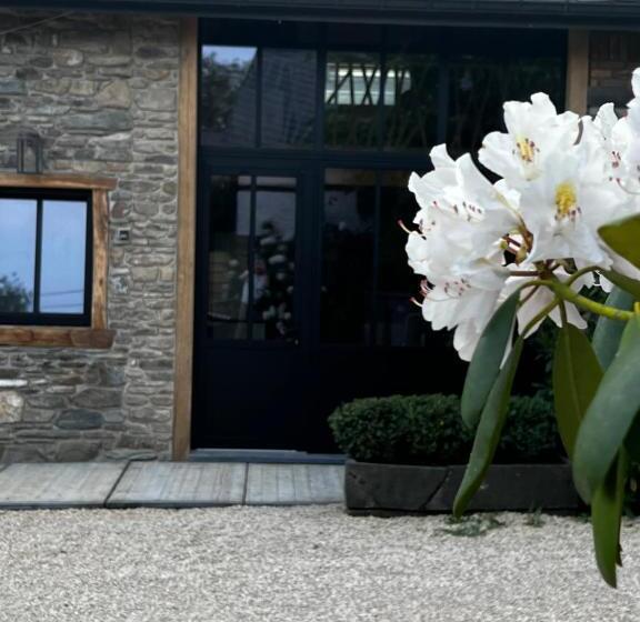 Bed and Breakfast Paddock Lodge   Suites Wellness & Chambres D Hôtes