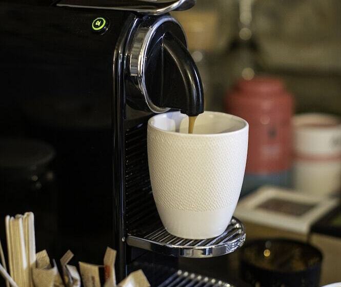 Bed and Breakfast Paddock Lodge   Suites Wellness & Chambres D Hôtes