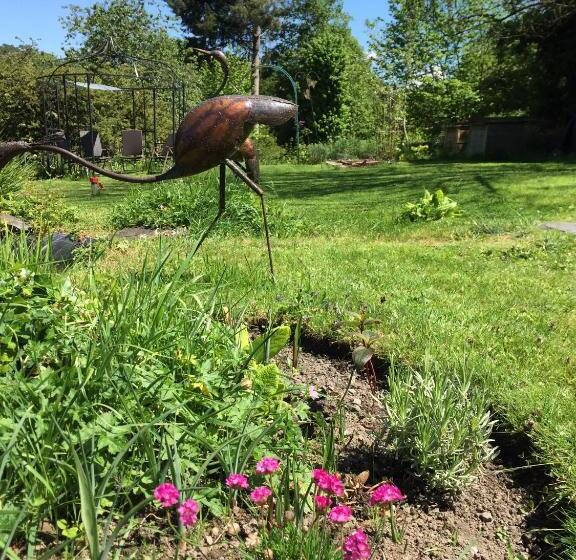 Bed and Breakfast Vingt Vieux Bourg