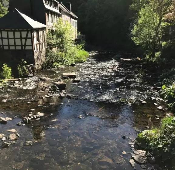 Eifelerhof Hotel Monschau