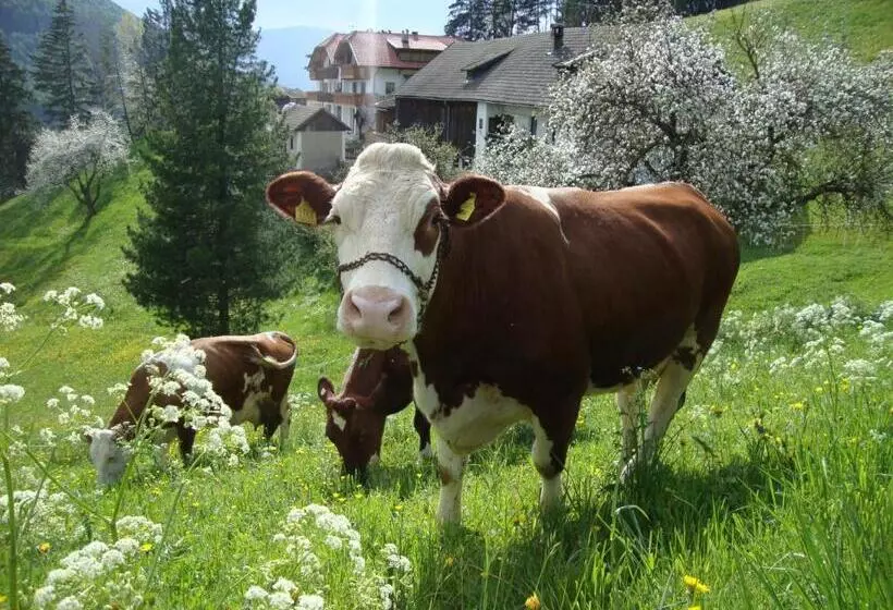 هتل Thalerhof