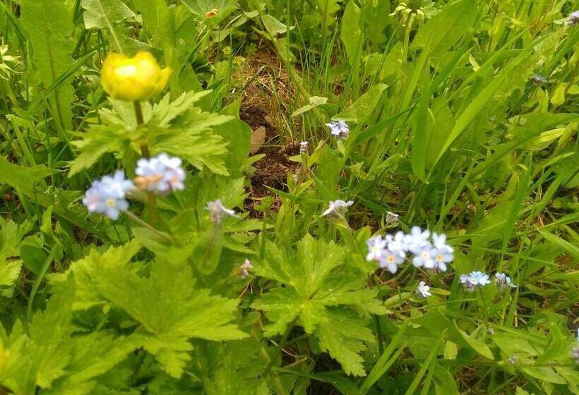 فندق Villgraterhof