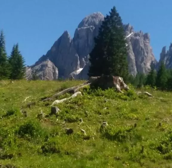 Hotelli Villgraterhof