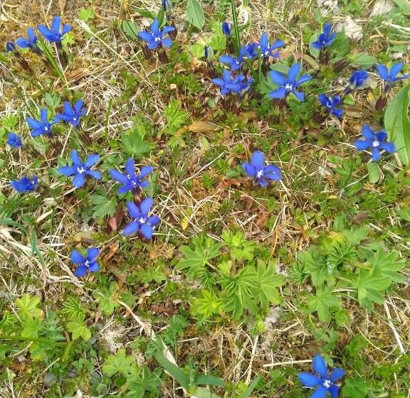 فندق Villgraterhof