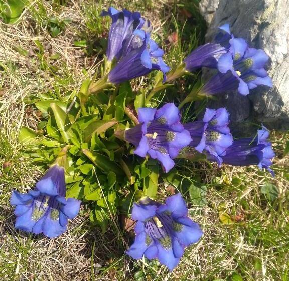 فندق Villgraterhof