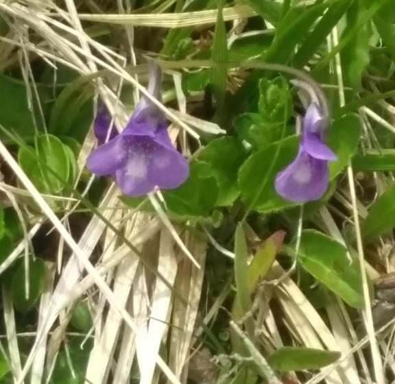 فندق Villgraterhof