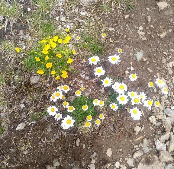 فندق Villgraterhof