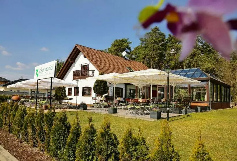 Lokal Genial Pension & Restaurant