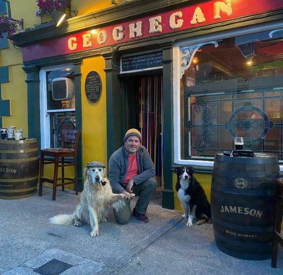 Geoghegans Magpie Bar And B&b