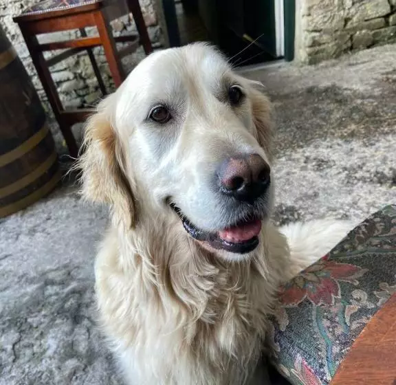 Geoghegans Magpie Bar And B&b