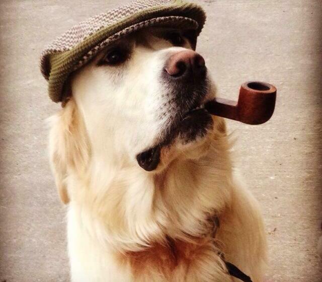 Geoghegans Magpie Bar And B&b