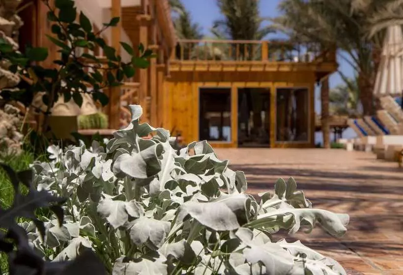 Hotel Acacia Dahab