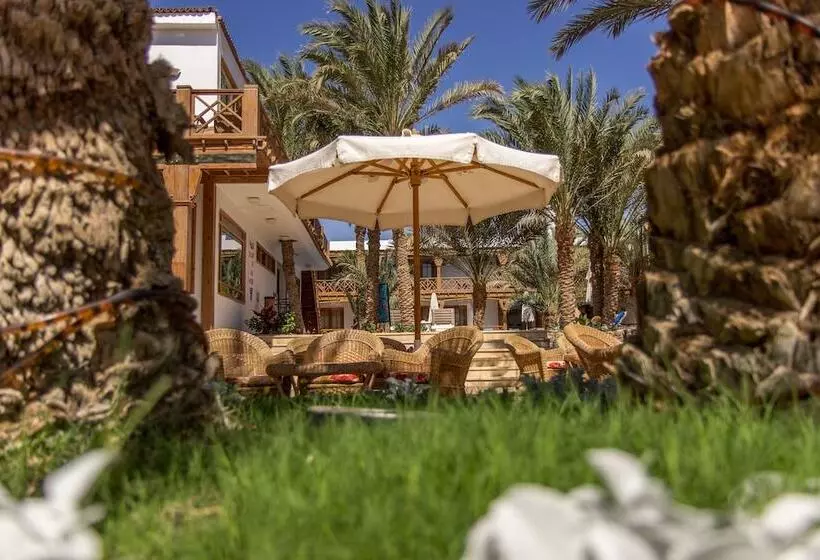 Hotel Acacia Dahab