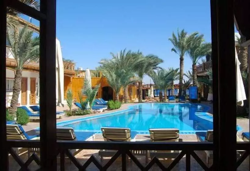 Hotel Acacia Dahab