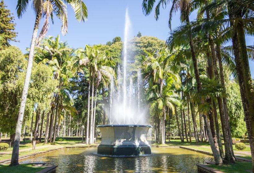 Hotel Dan Inn Poços De Caldas   A Melhor Localização Do Centro