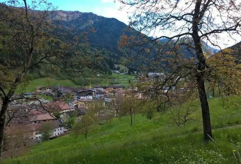 B&b Ai Pini