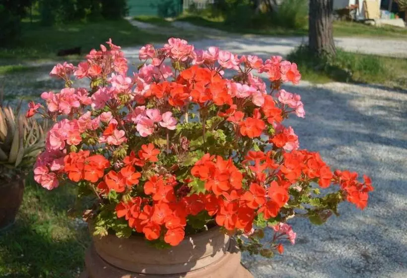 B&b Tenuta Zavaia