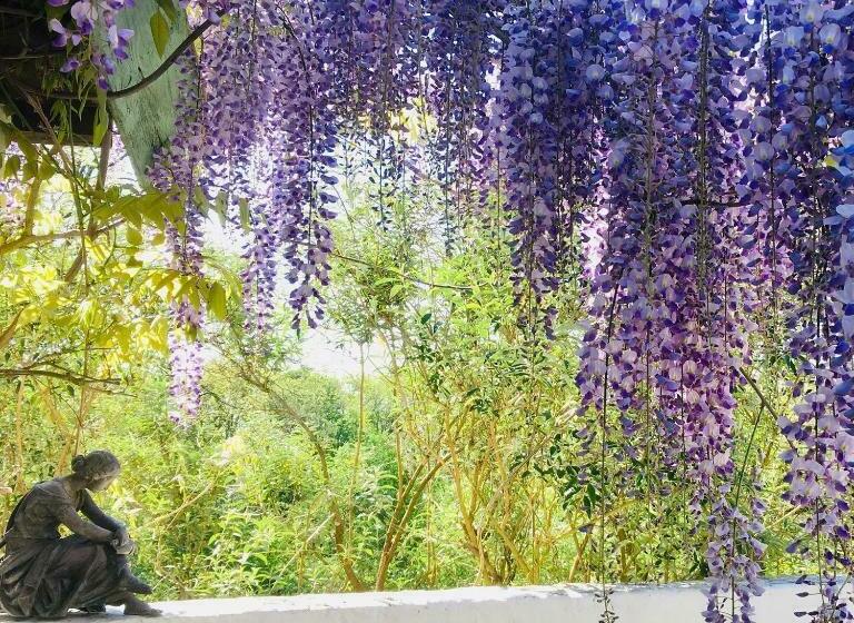 مبيت وإفطار Les Didascalies